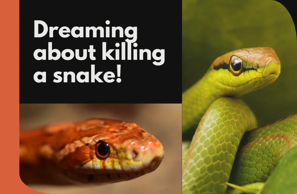 dreaming-about-killing-a-snake-what-does-it-mean